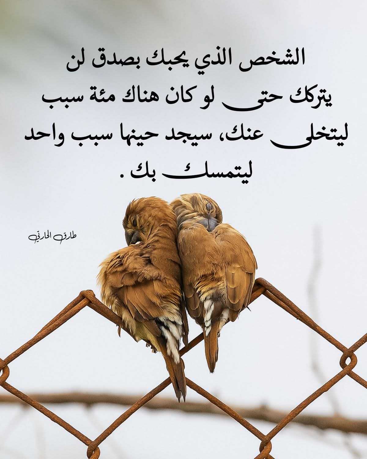 👑🌷 شات أميرتي البنات – خصوصية وأمان 🌷