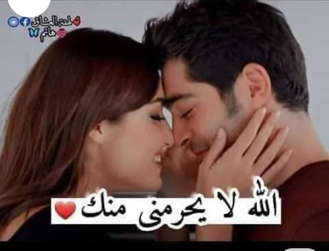 شات مصر – تواصل مباشر مع أبناء بلدك